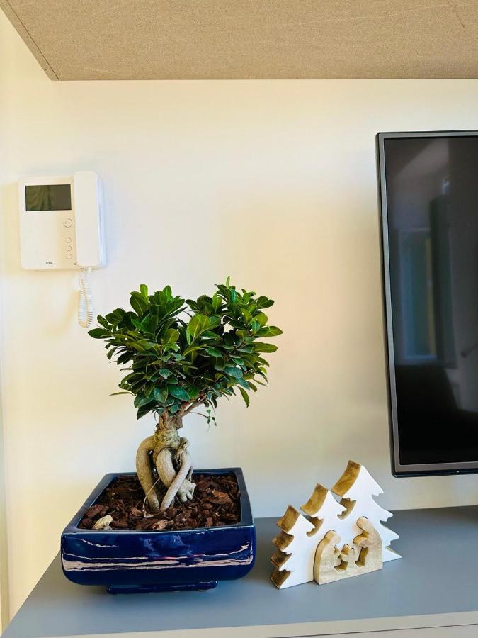 Alocasia Luxury Stay Salerno Ngoại thất bức ảnh
